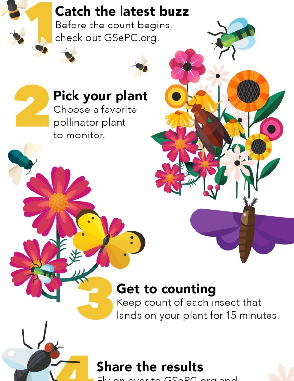 Great Pollinator Census